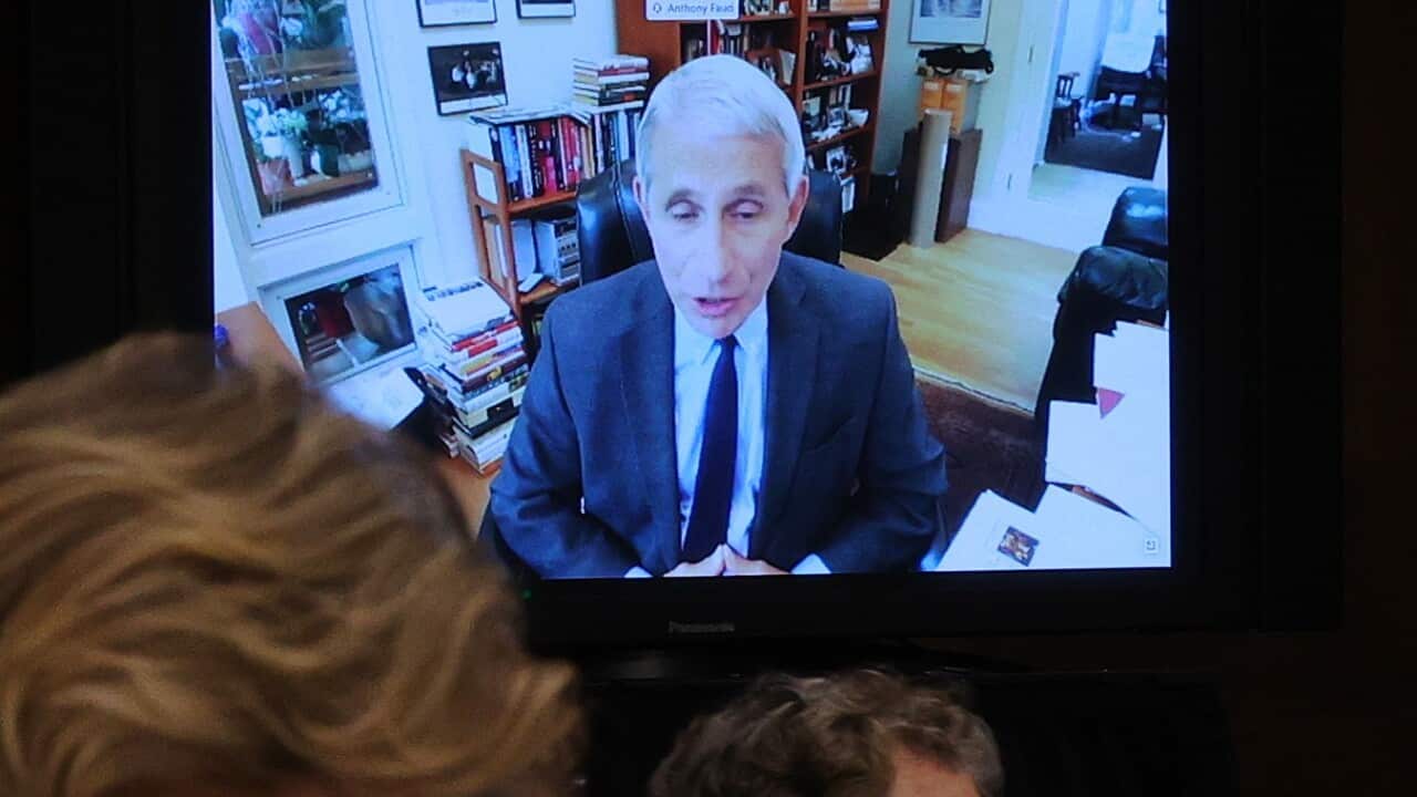 Senators listen to Dr Anthony Fauci, director of the National Institute of Allergy and Infectious Diseases speaking remotely during a Senate hearing.
