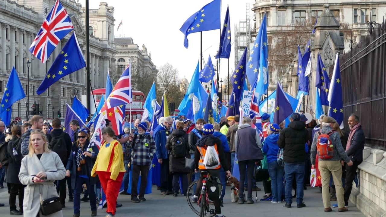 Prosvjednici za ostanak u Europskoj uniji (tzv. Remain prosvjednici) demonstriraju ispred Parlamenta u Londonu