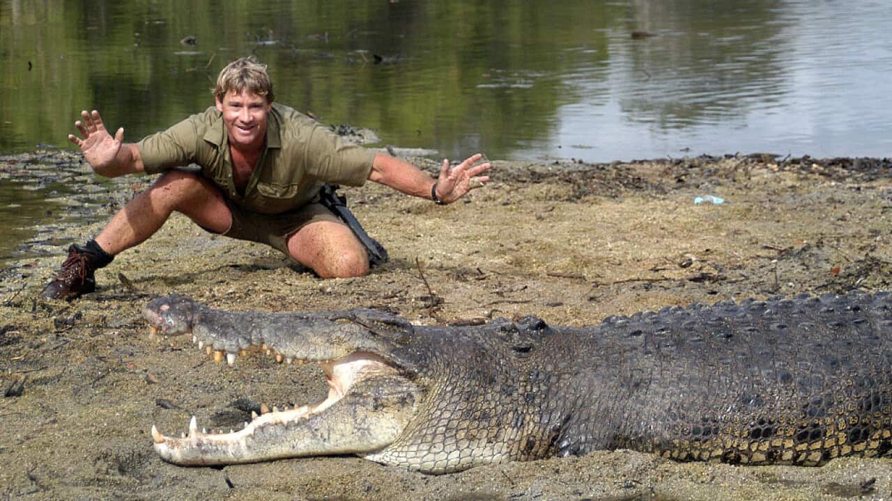 steve irwin