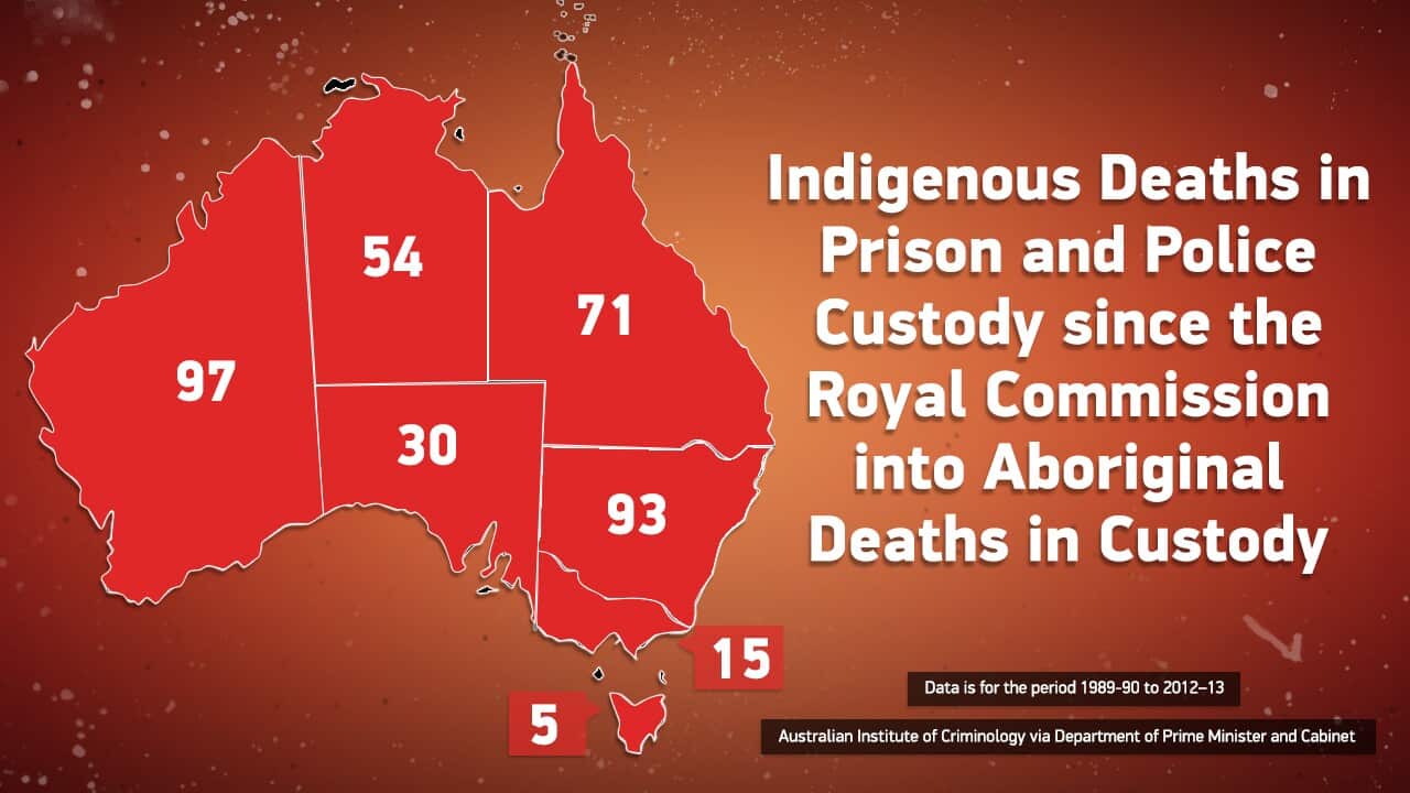 Royal Commission into Aboriginal Deaths in Custody.