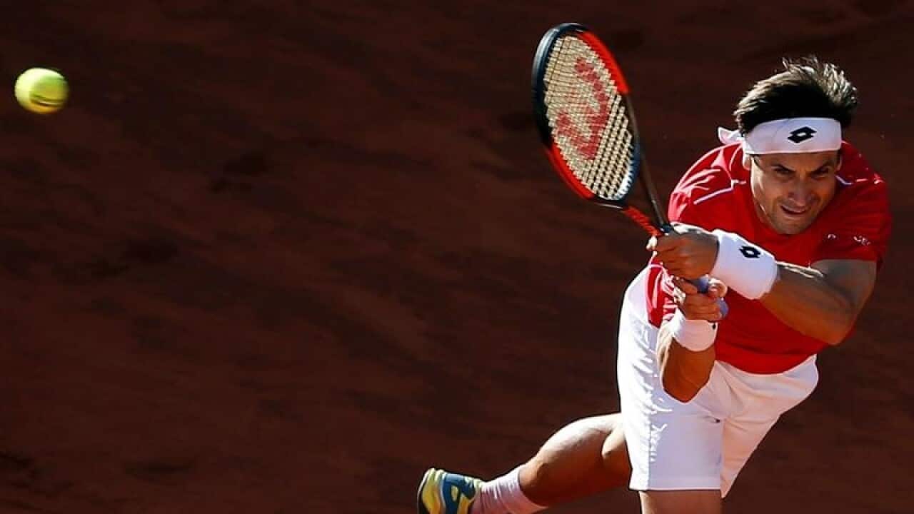 David Ferrer.