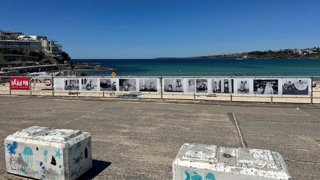 Image for read more article 'Más información:'