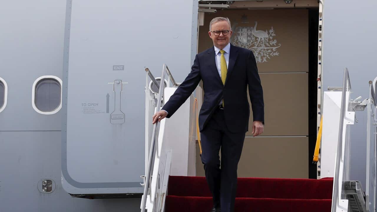 Albanese lands in Berlin ahead of NATO.