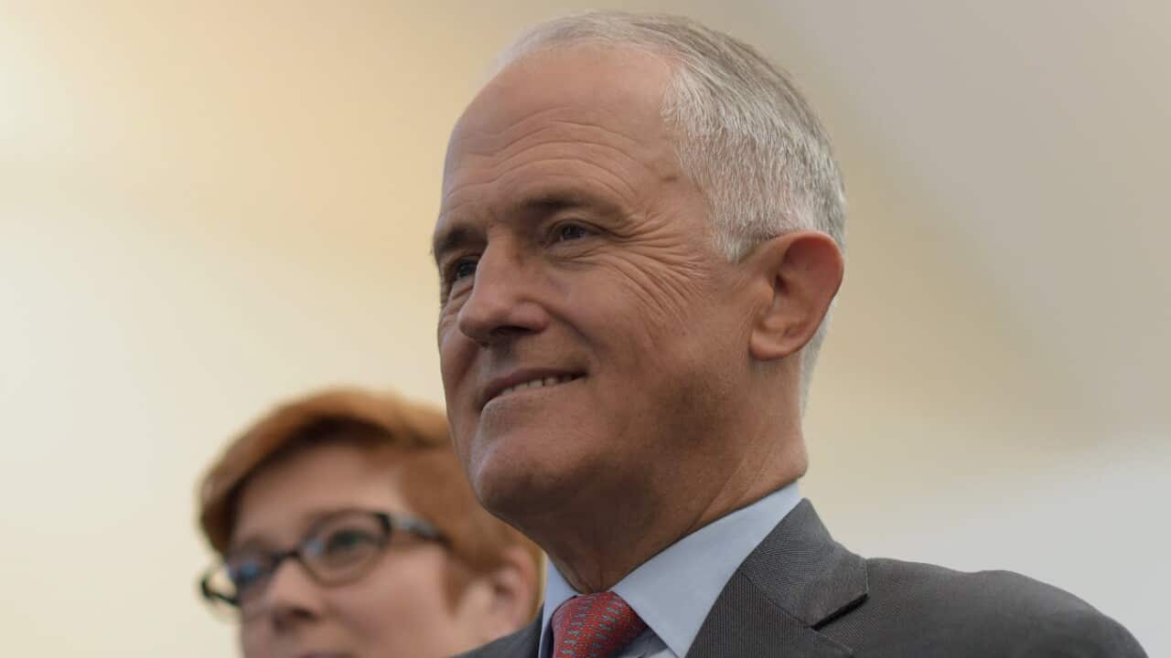 turnbull