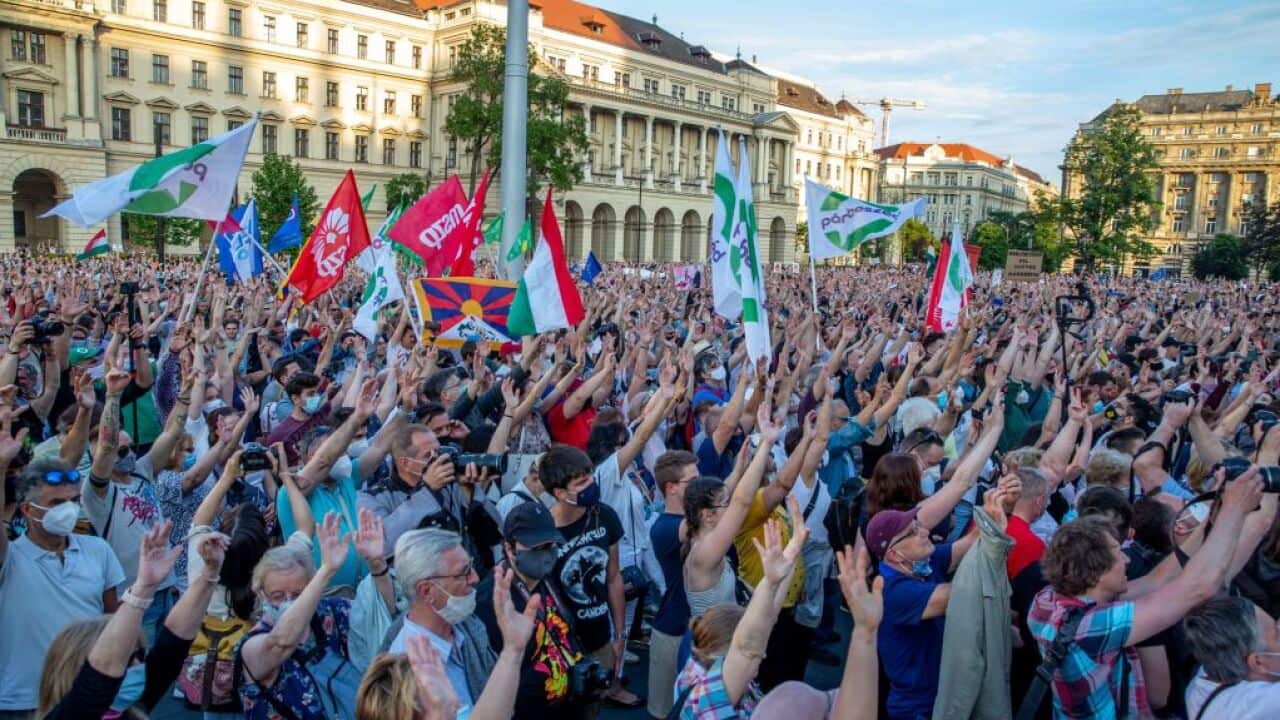 Demonstrators in Budapest protest against the planned construction of a Chinese university in the city.