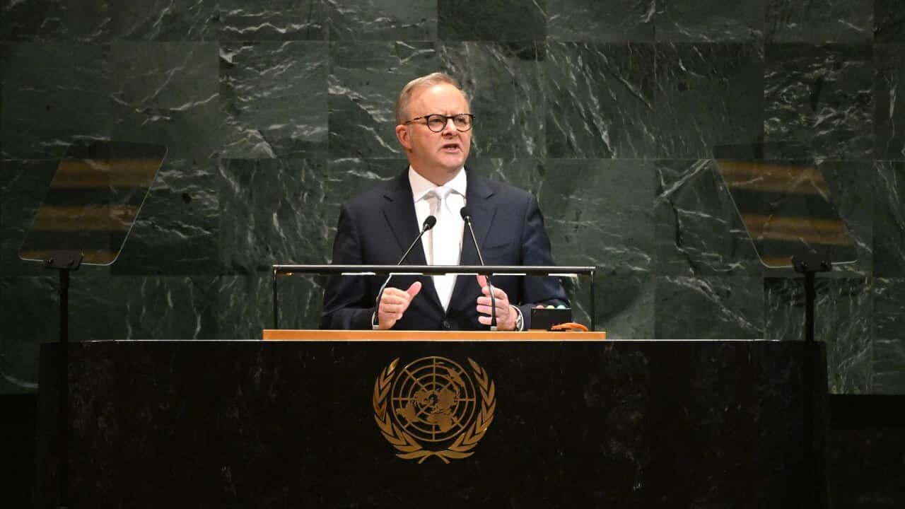 ANTHONY ALBANESE UNITED NATIONS