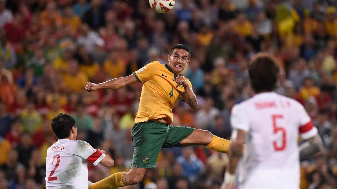 Tim Cahill header