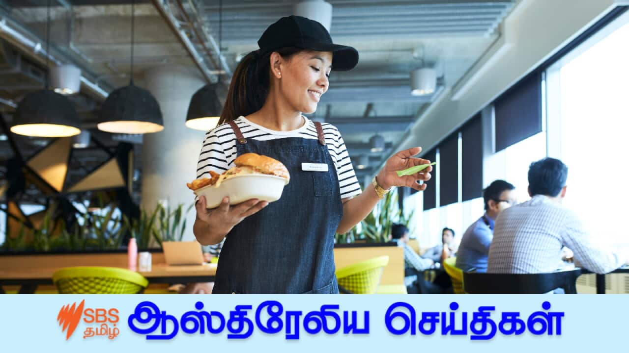 young waitress delivers burger on tray looks at order