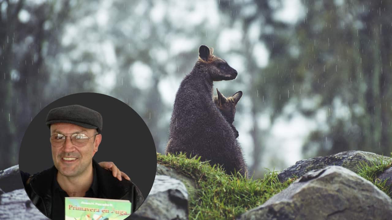 Copy of Copy of Copy of Composition Story Australian Open (6000 x 4000 px) (1).png