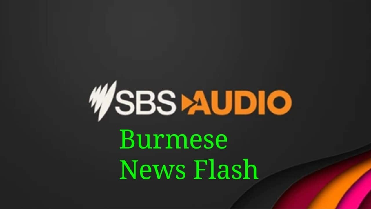 ALC: SBS မြန်မာ News Flash နိုဝင်ဘာလ 22 ရက်။