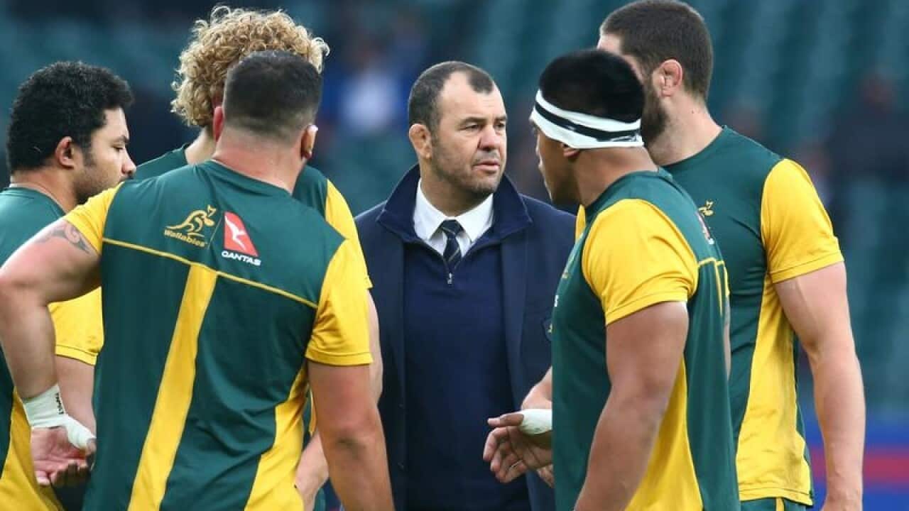 Wallabies coach Michael Cheika.