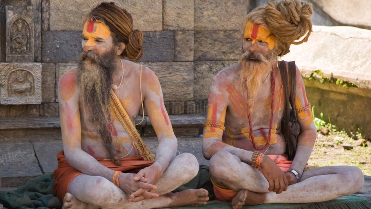naga sadhu, holi, festival, colours, cow, india