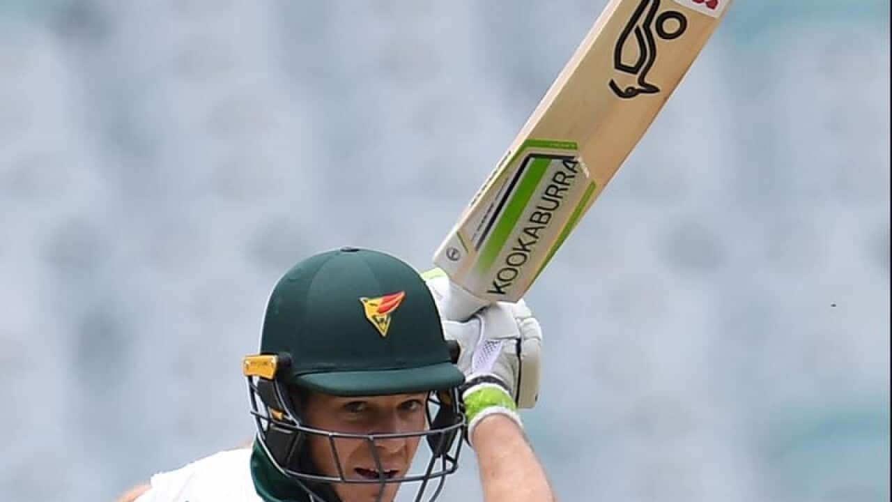 Tim Paine in action