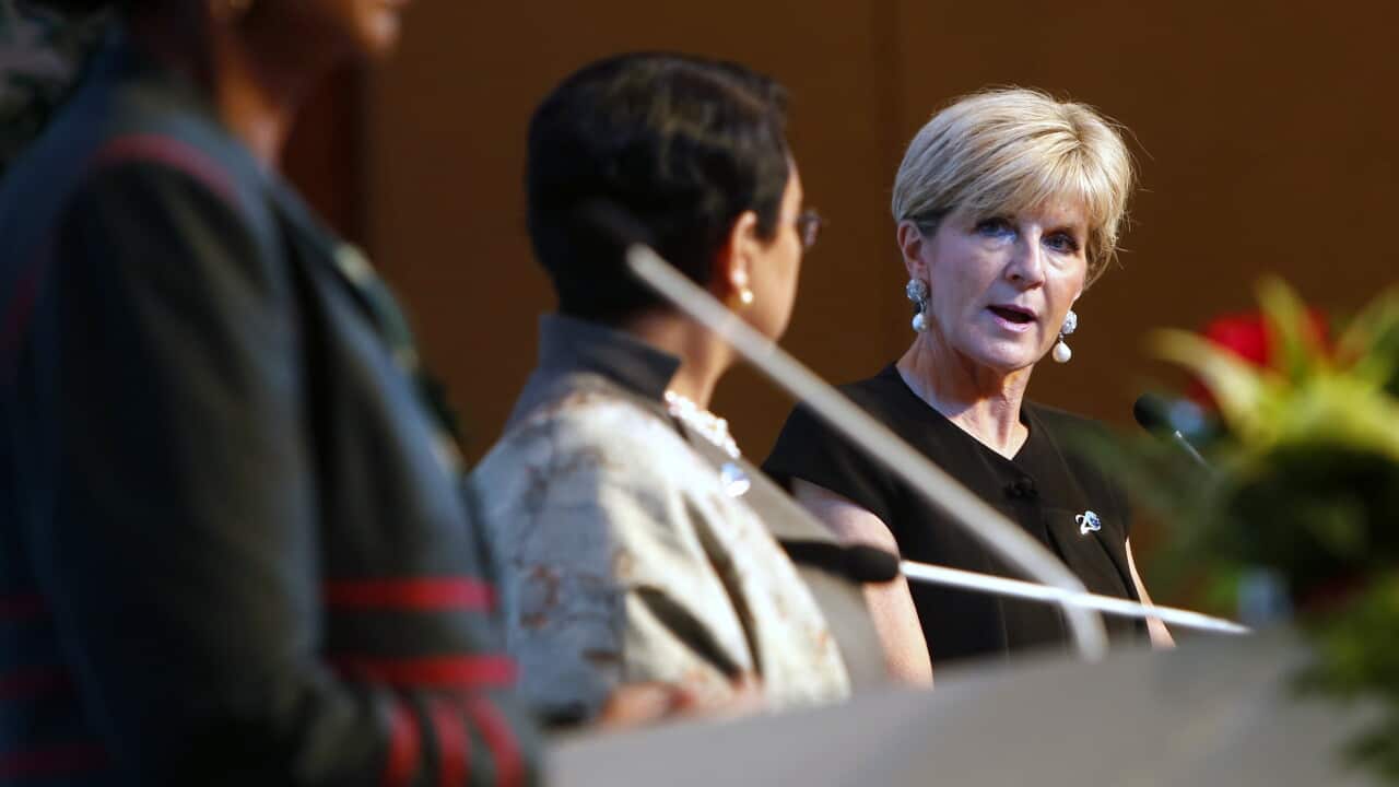 Foreign Minister Julie Bishop gives a speech