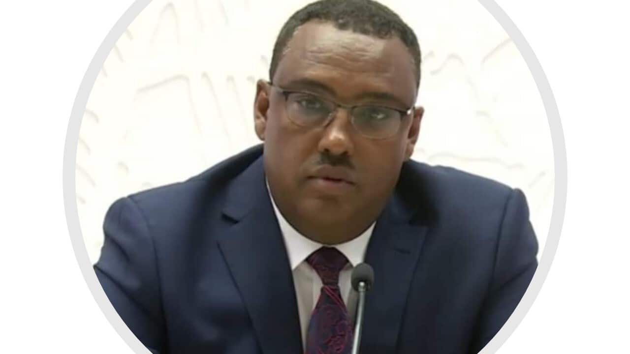 Deputy Prime Minister Demeke Kebede