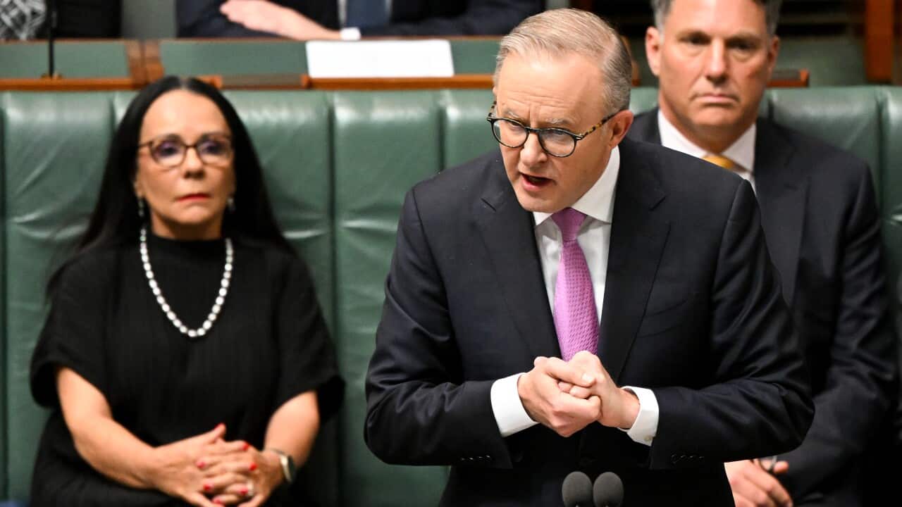 ANTHONY ALBANESE VOICE TO PARLIAMENT