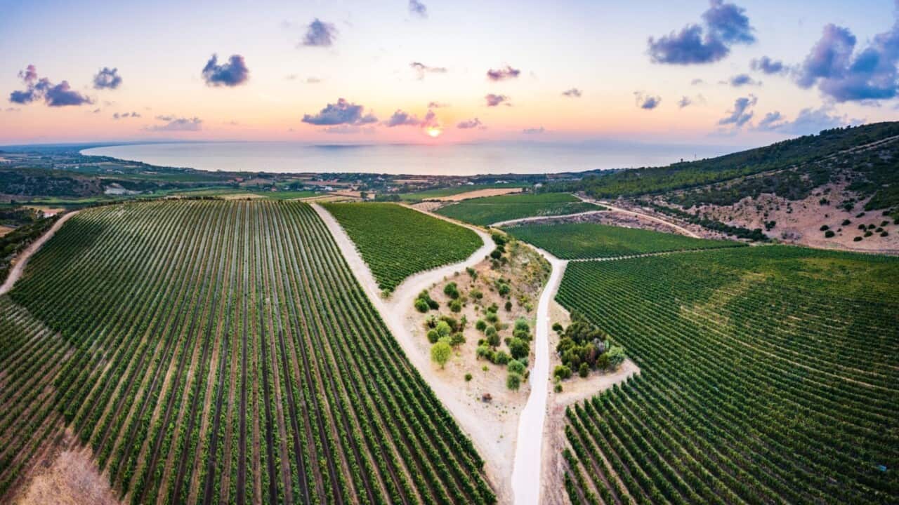 Image for read more article 'READ MORE'