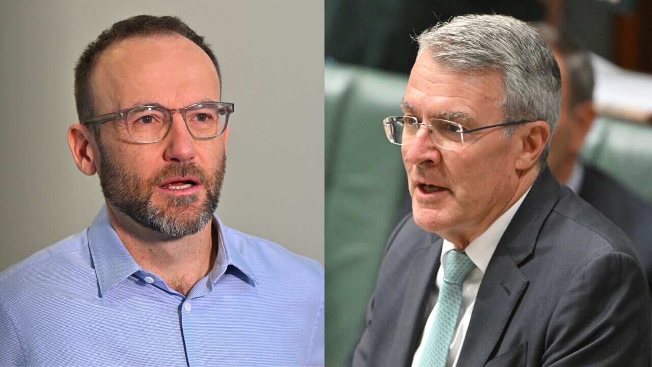 Composite image of Adam Bandt and Mark Dreyfus