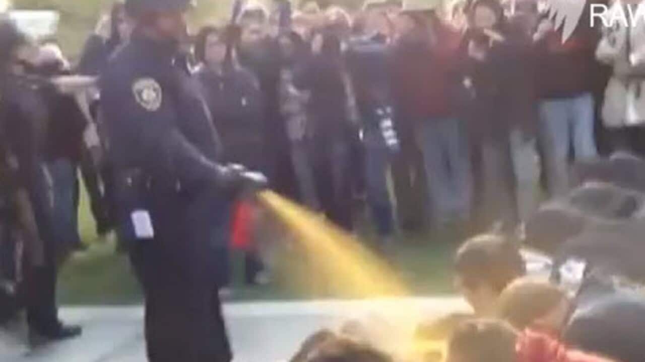 university_california_pepper_spray_l_AAP_1304989568