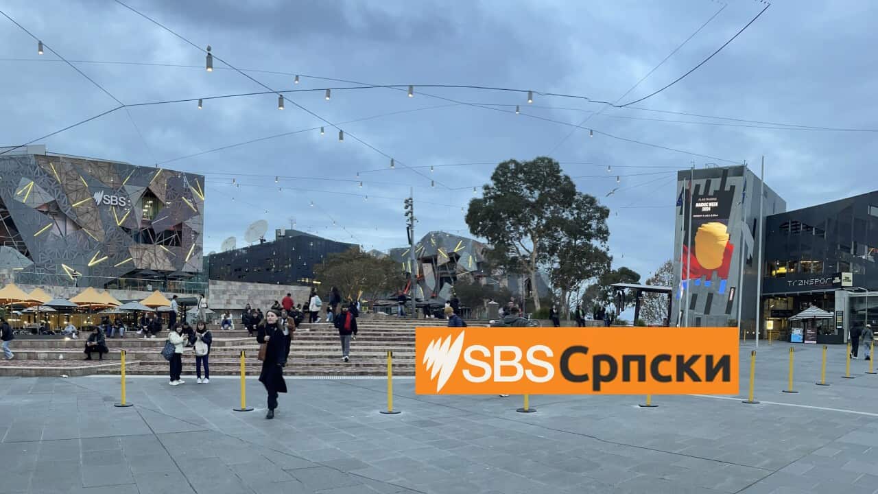 sbs serbian news.jpg