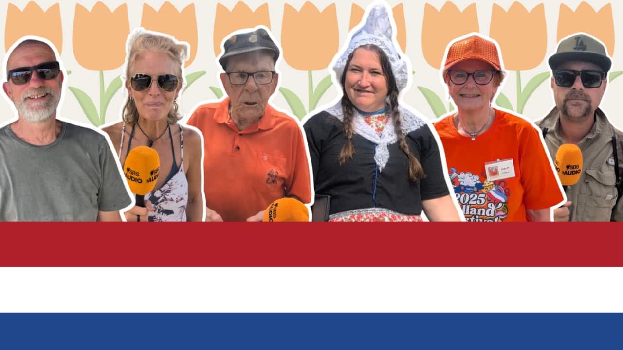 fox pop nederlanders