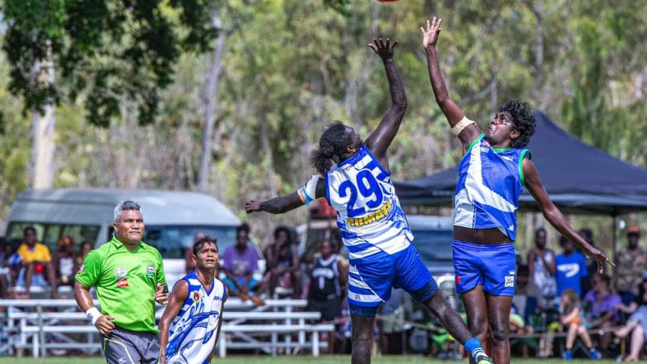 Image for read more article 'READ MORE'