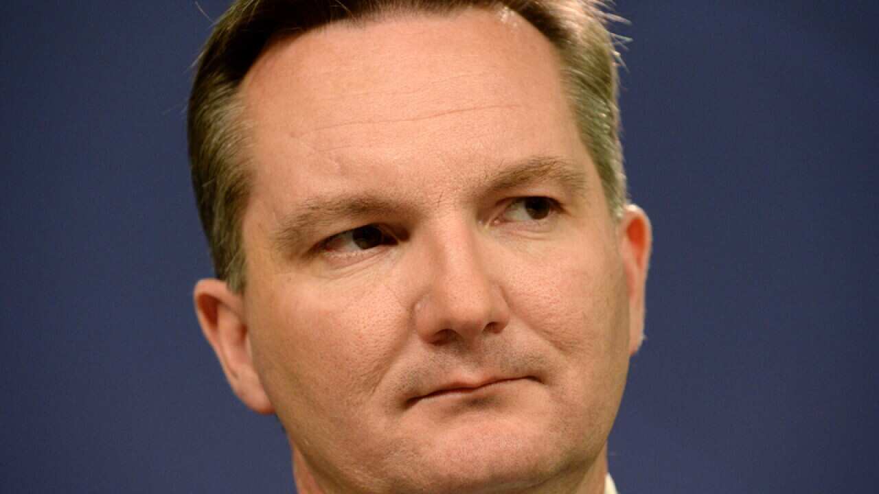 Kevin Rudd can still win, Bowen says