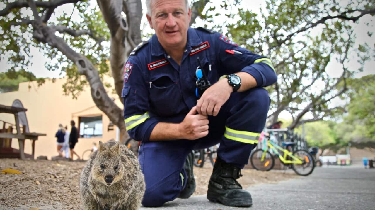 Image for read more article 'READ MORE'