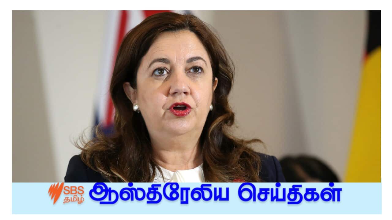 News and Current affairs