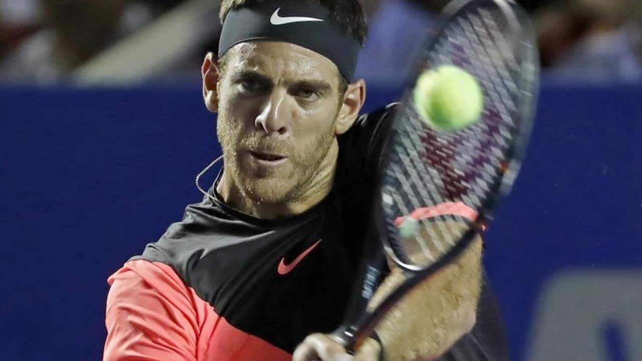 Juan Martin del Potro of Argentina in action at the Mexico Open.