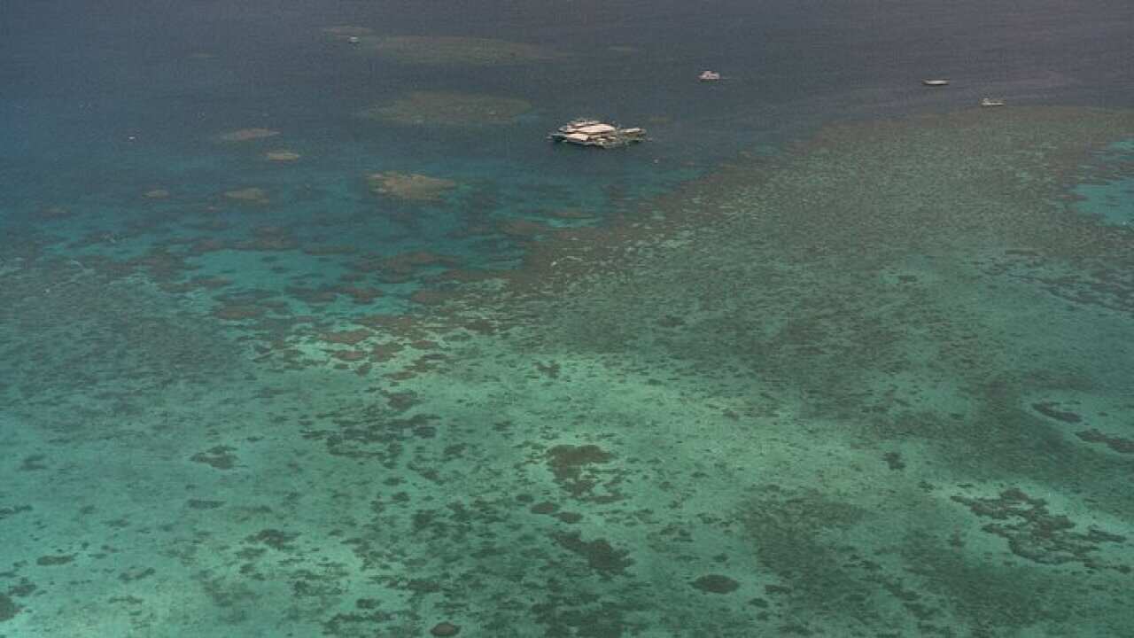 Great Barrier Reef’s worst-ever bleaching