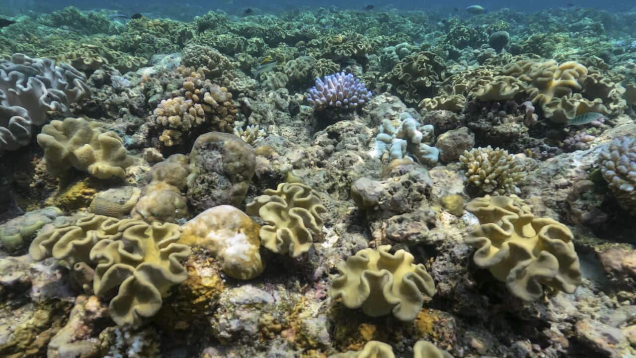 Australian Great Barrier Reef