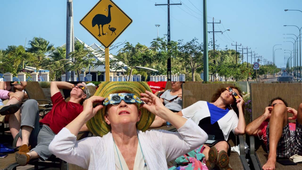 People wearing special eclipse glasses, looking to the sky, below an image of an empty road with a yellow sign with emus on it.