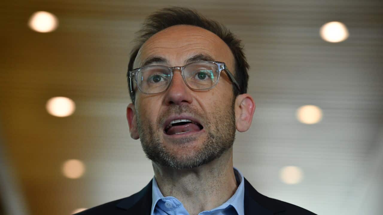 Greens leader Adam Bandt says the Senate vote represents "a big win for the climate".