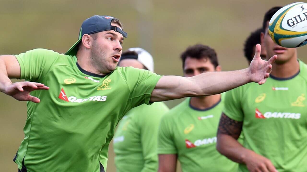 Wallabies winger Drew Mitchell