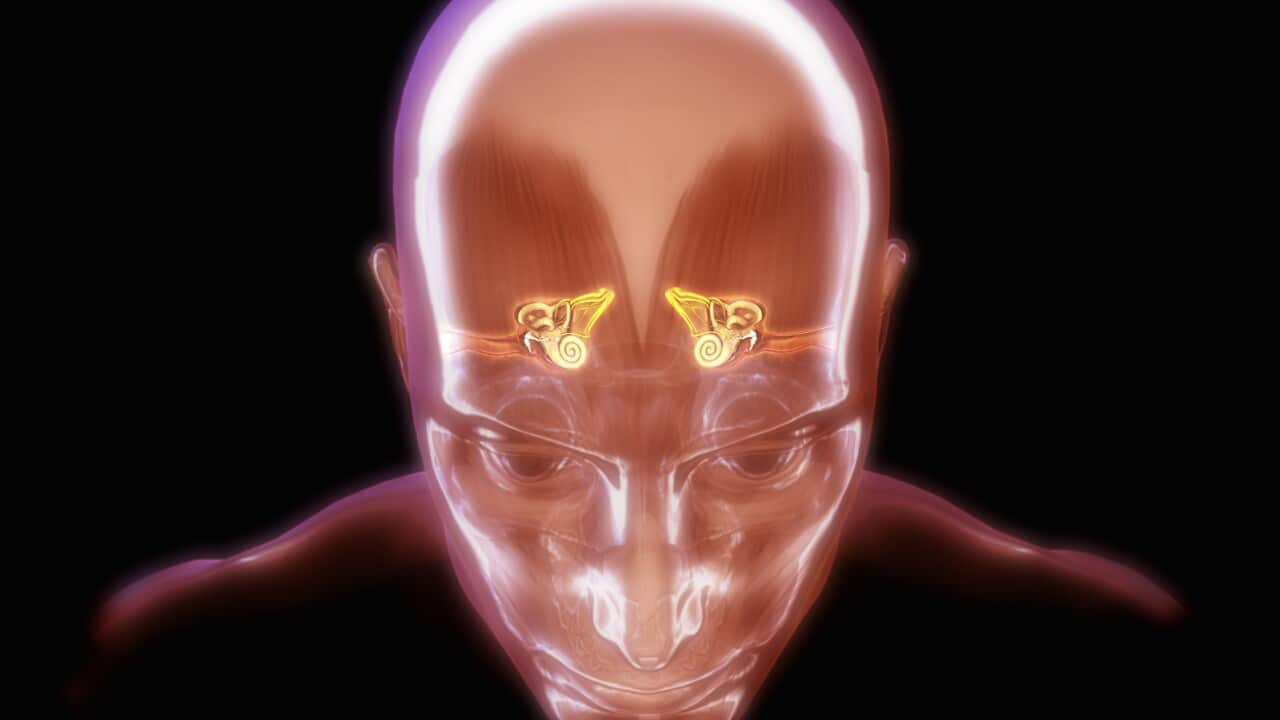 Image for read more article ''