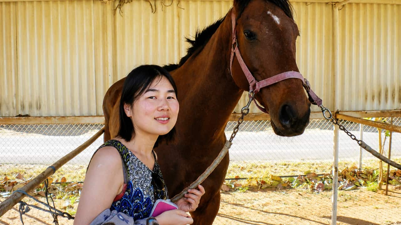 YURIKO YAMANOUCHI.png