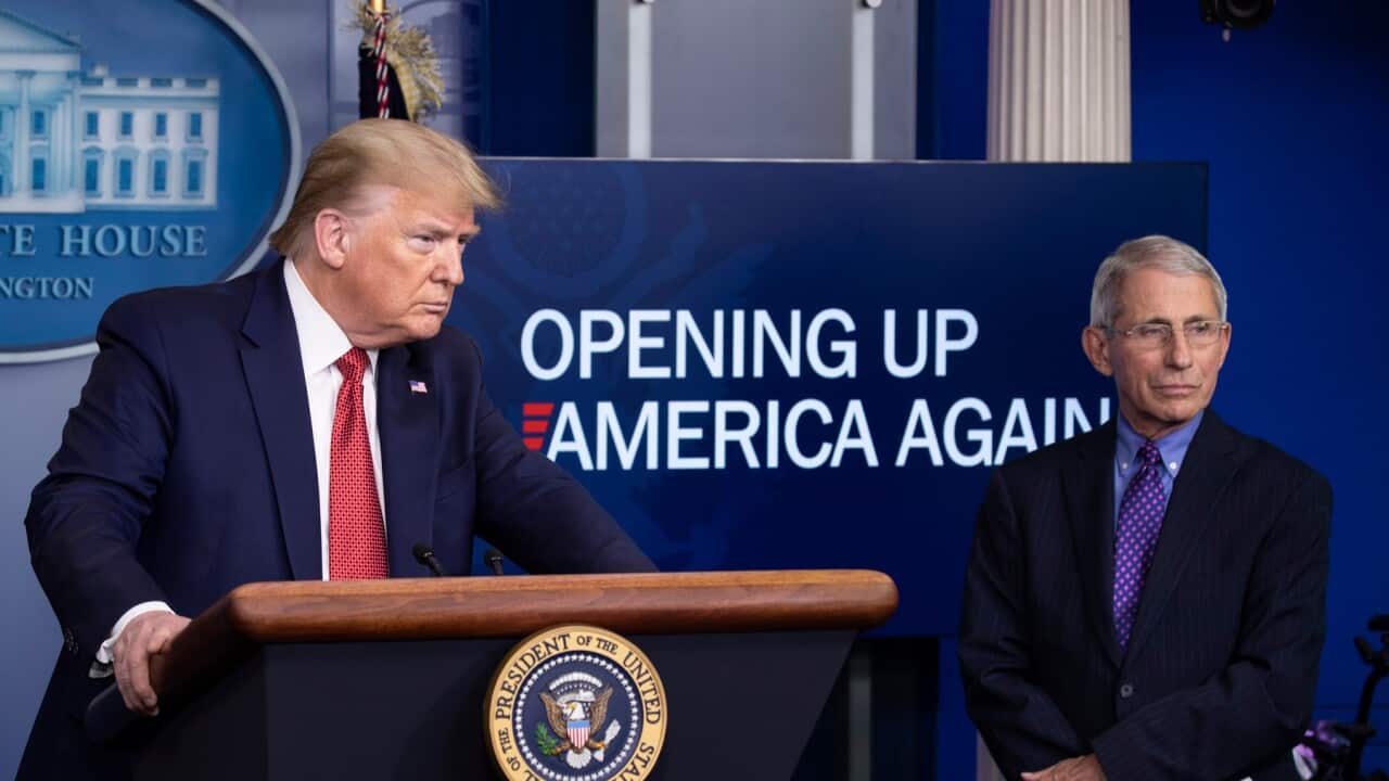 US President Donald Trump and Dr Anthony Fauci
