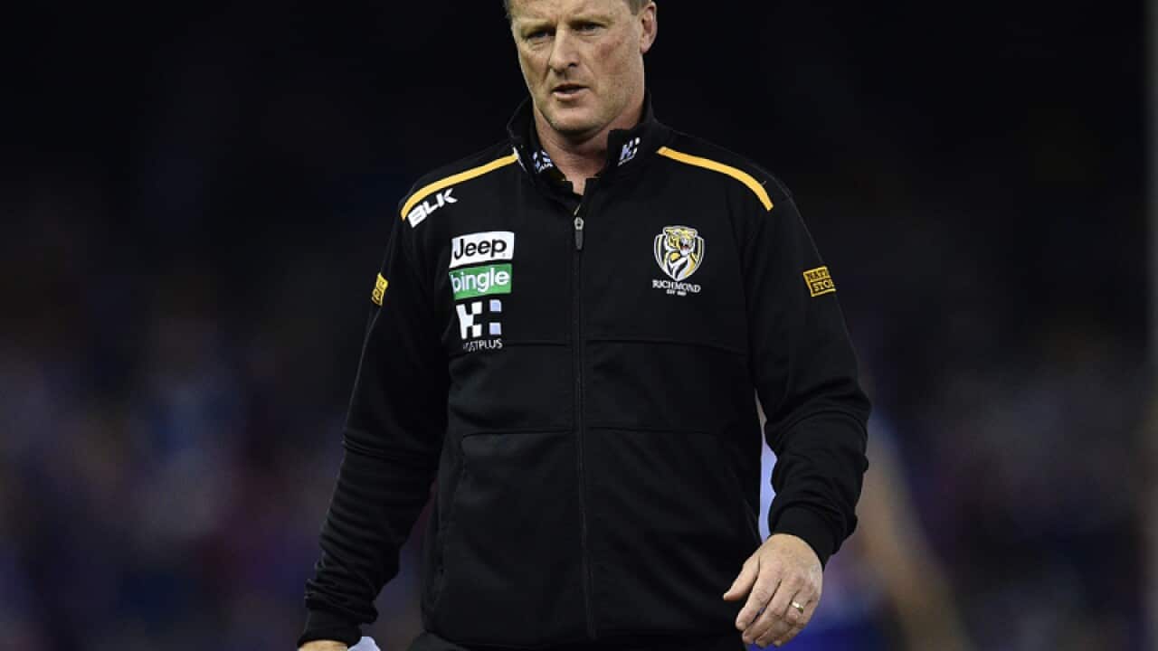 Coach of the Tigers Damien Hardwick