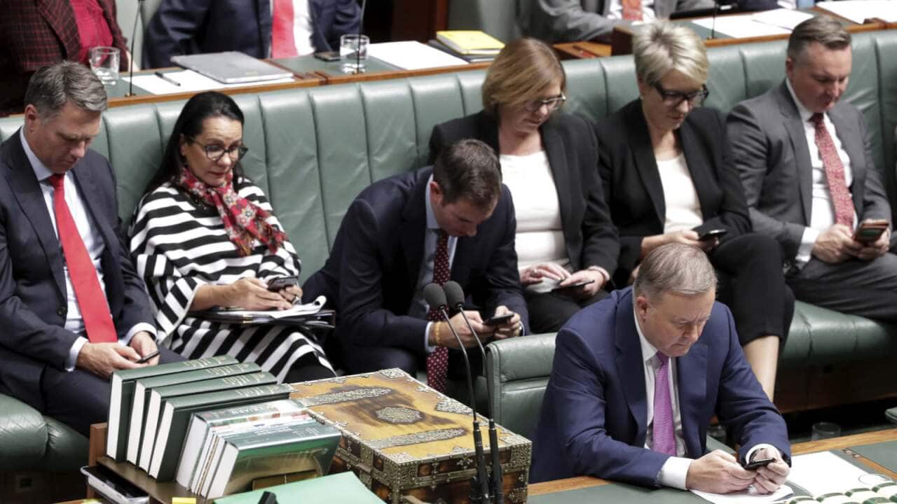 Top Labor frontbenchers on their mobile phones during question time on Monday.Credit: