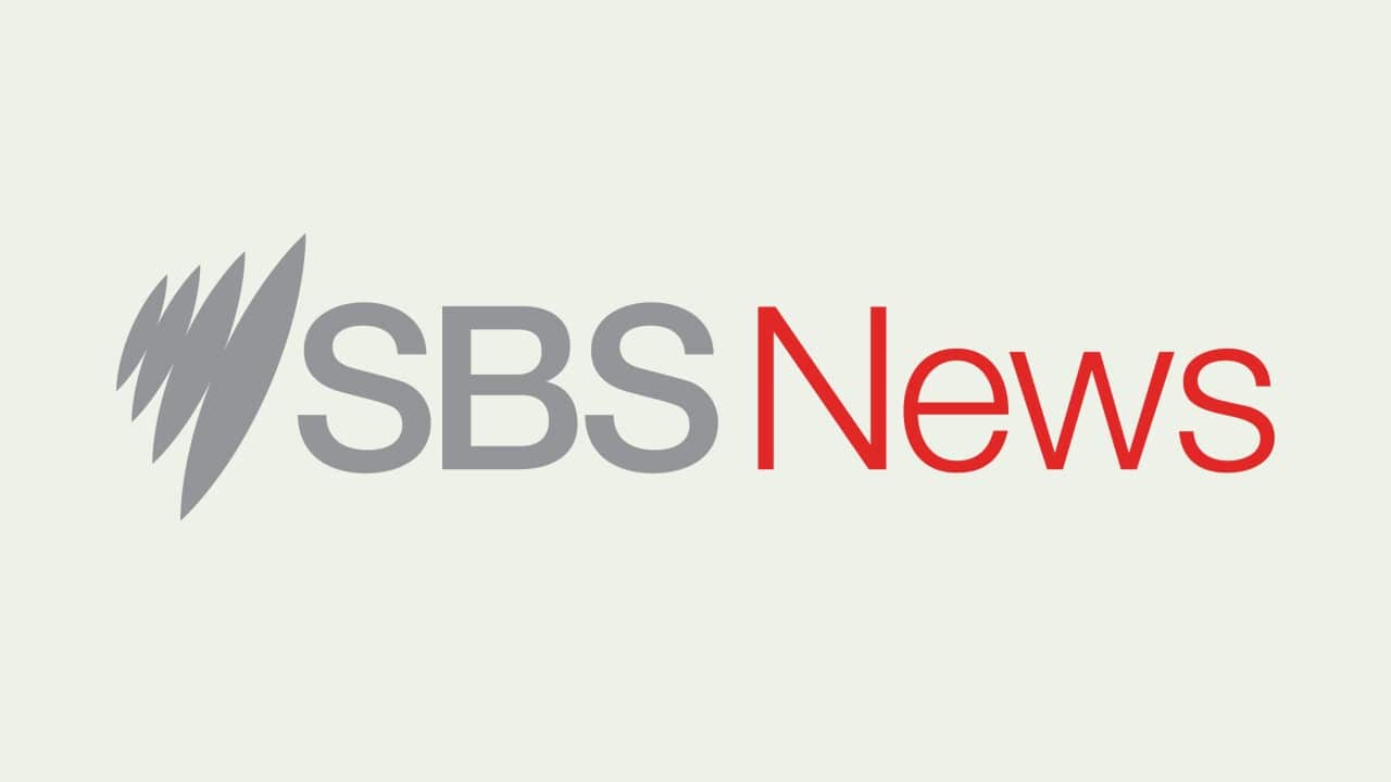 SBS News