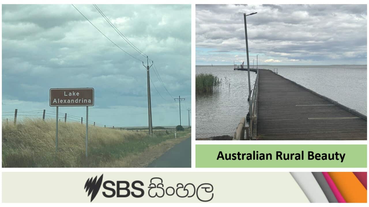 Traveling to see the lake Alexandrina_ Australian rural beauty