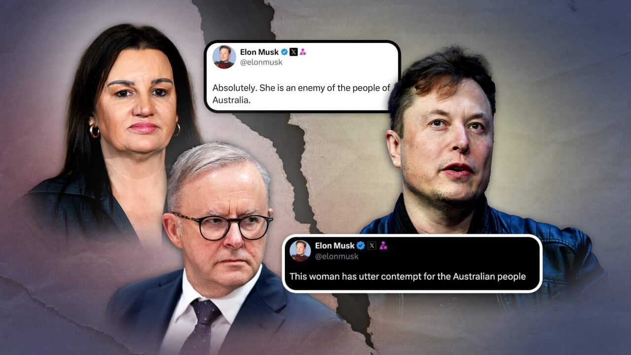 A split image of Elon Musk and Anthony Albanese