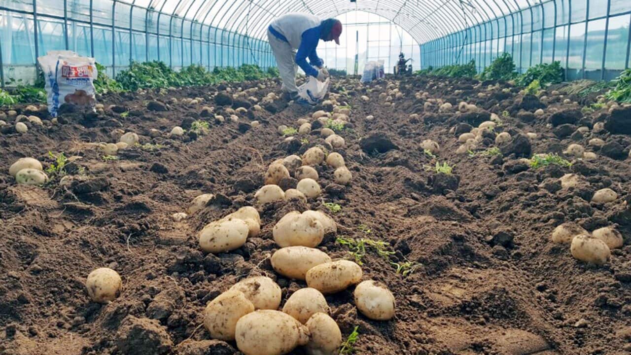 Image for read more article '更多內容'