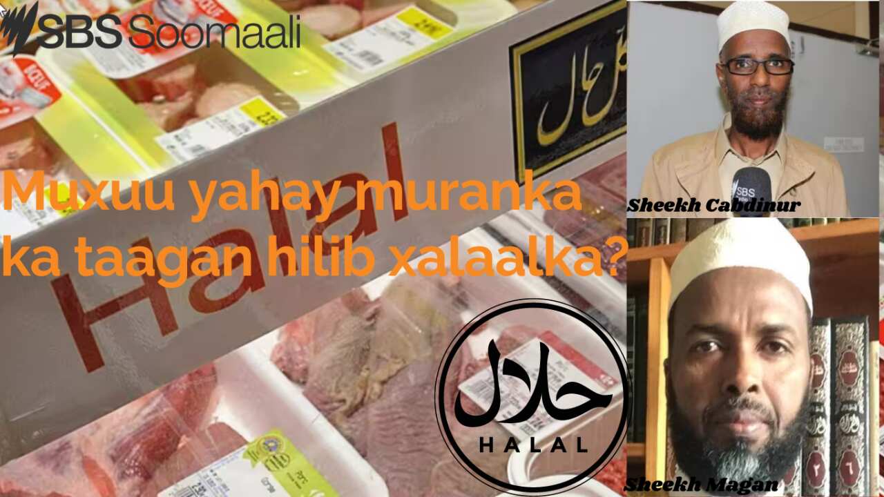Halal Certification Dispute