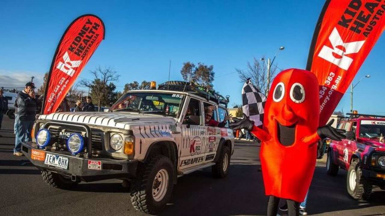 Kidney Car Rally