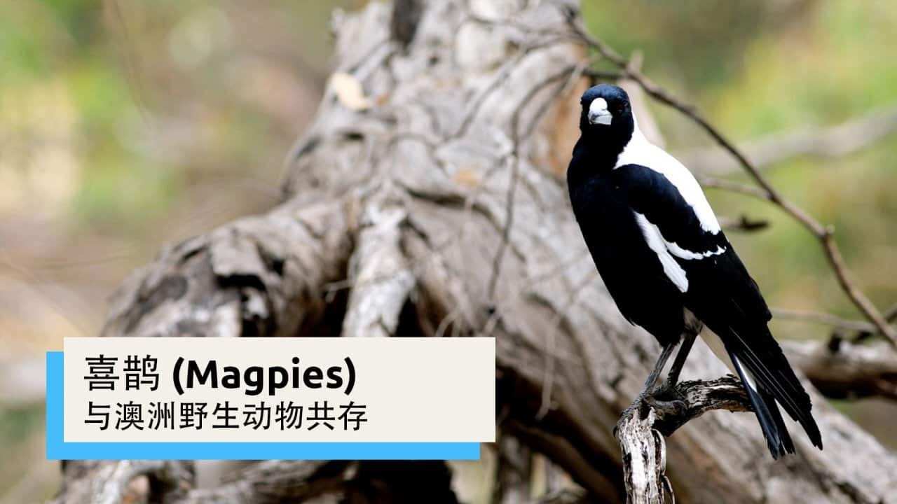 Image for read more article 'READ MORE'