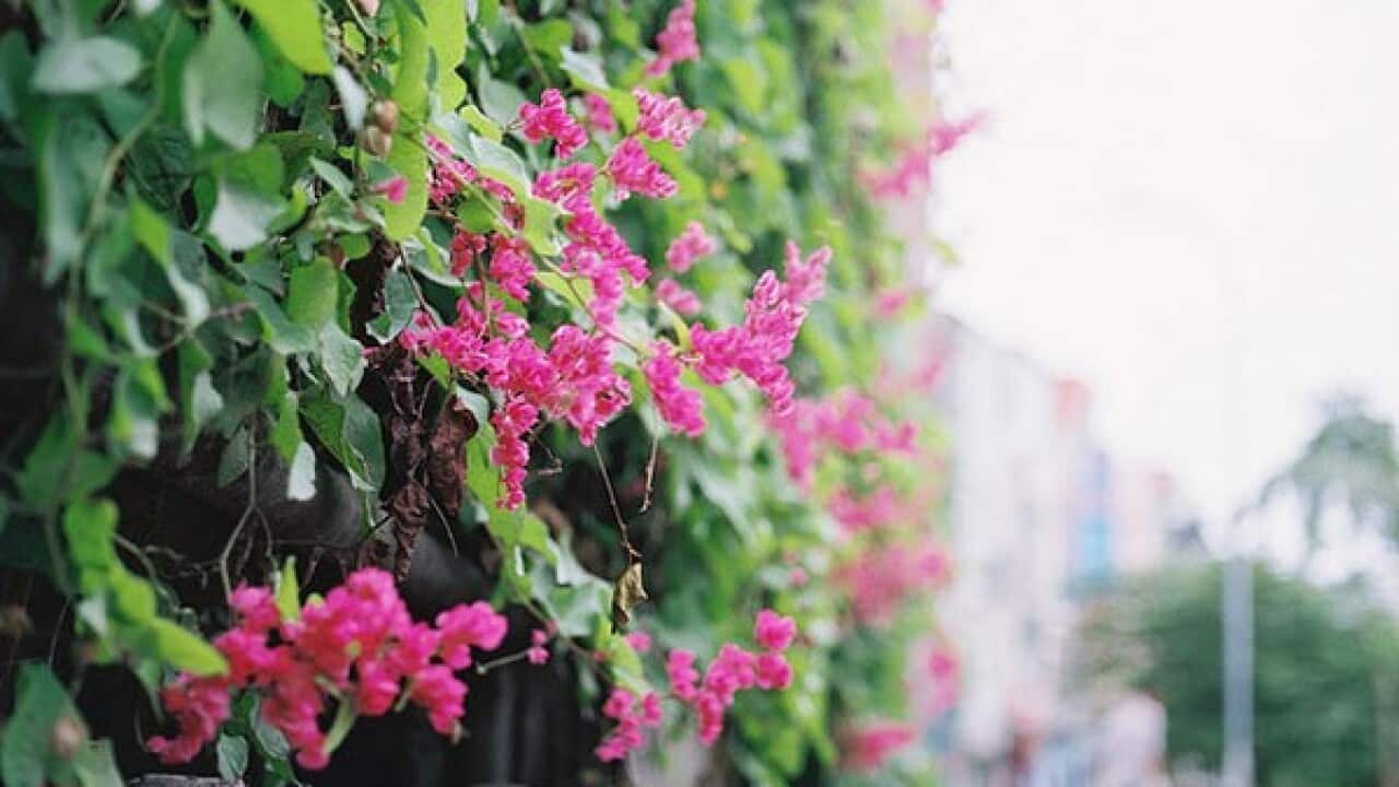 Image for read more article ''