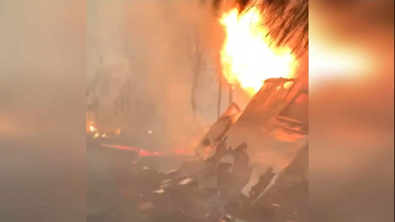Firefighters at a blaze in Moruya, NSW (SBS)