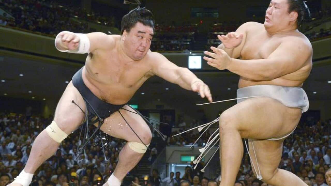 Sumo wrestler Haramafuji.